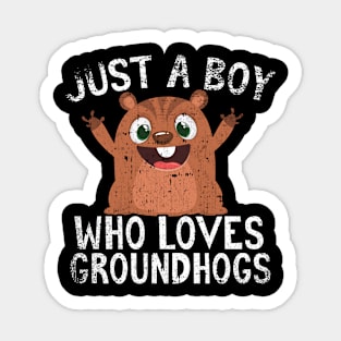 Just A Boy Who Loves Groundhogs Sticker